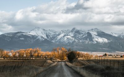 Summit + Saguaro Market Report